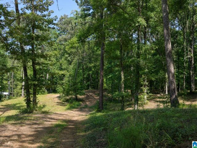 House for sale in Shelby, Alabama