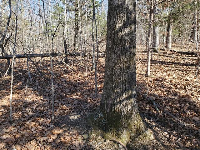 Land for sale in Thola, Marshall