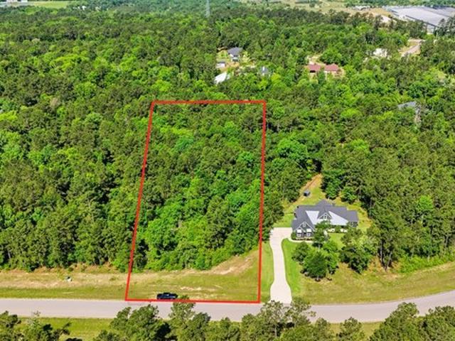 Land for sale in Willis, Texas