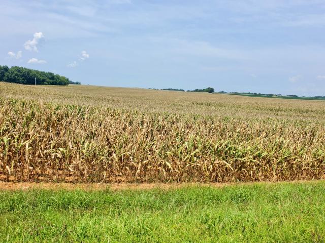 Farm for sale in Simpson, Kentucky