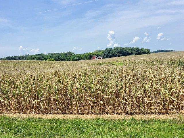 Farm for sale in Simpson, Kentucky