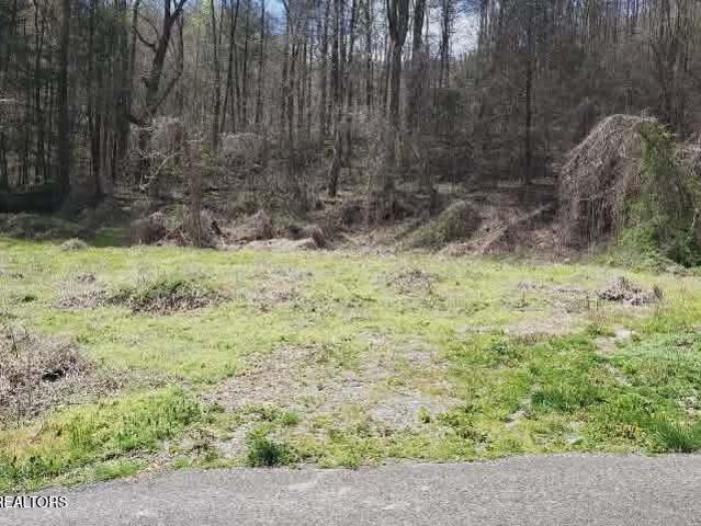 Land for sale in Middlesboro, Kentucky