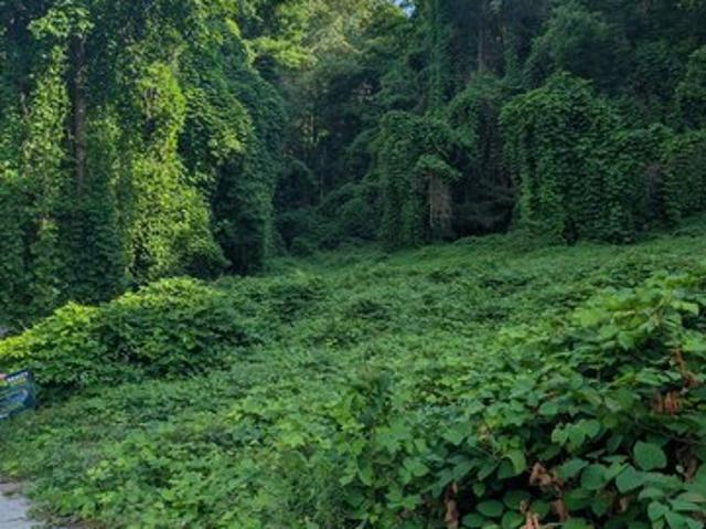 Land for sale in Middlesboro, Kentucky