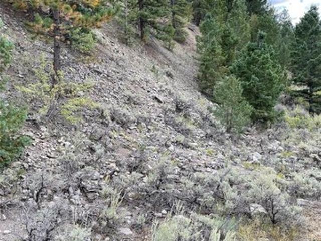 Land for sale in Chaffee, Colorado