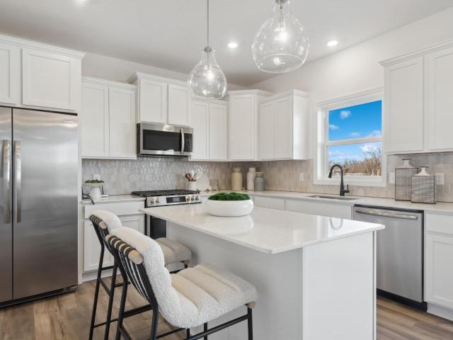 House for sale in Rosemount, Minnesota