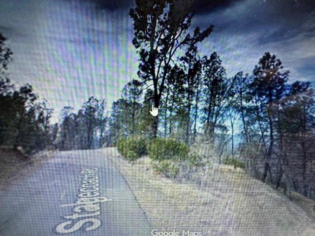 Land for sale in Corning, California