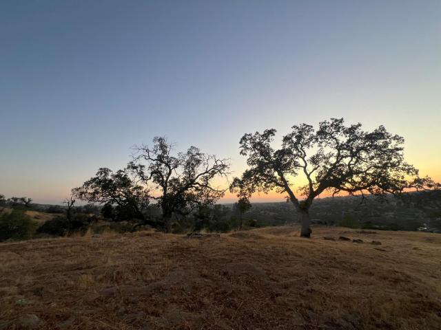 Property for sale in Coarsegold, California