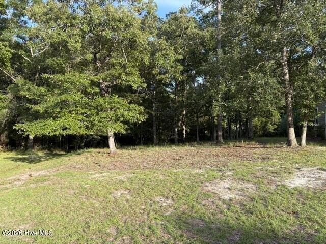 Land for sale in Bolivia, Brunswick County