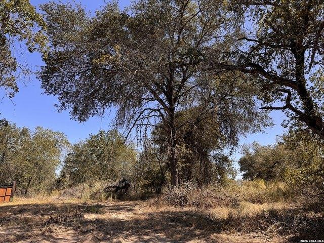 Land for sale in Wilson, Texas