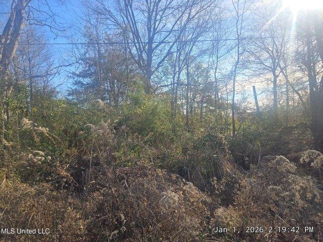 Land for sale in Sunflower, Mississippi