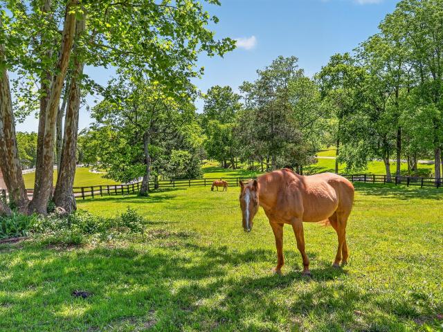 House for sale in Gallatin, Middle Tennessee