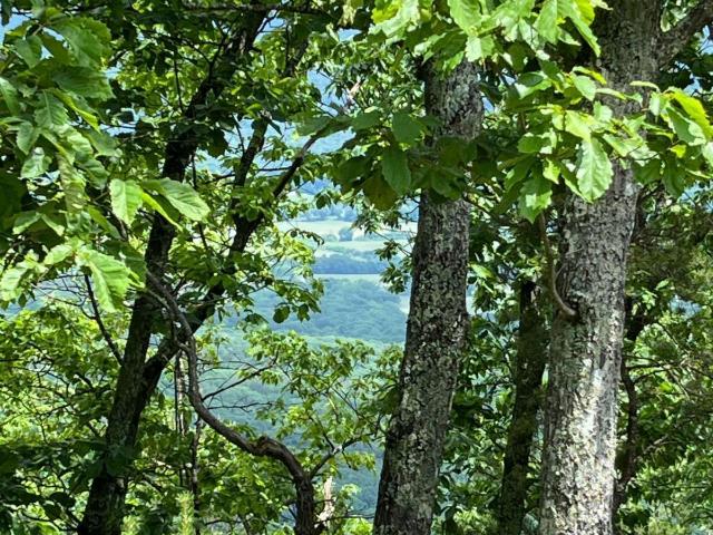 Land for sale in Menlo, Georgia