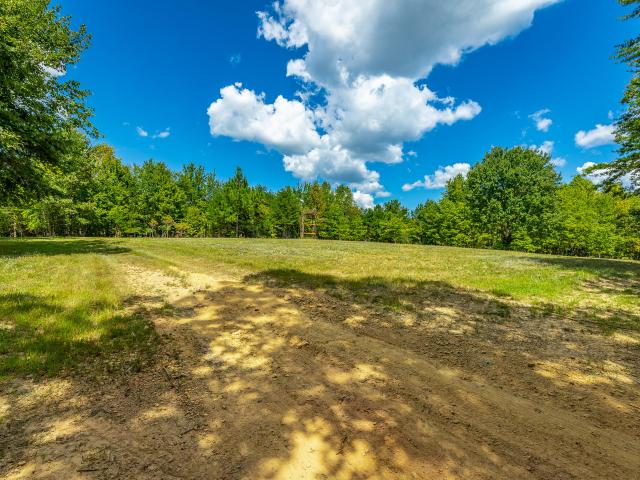 Land for sale in Menlo, Walker County