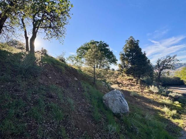 Land for sale in Tehachapi, California
