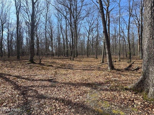 Land for sale in Beach Lake, Pennsylvania