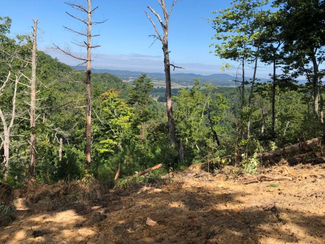 Land for sale in Tennessee