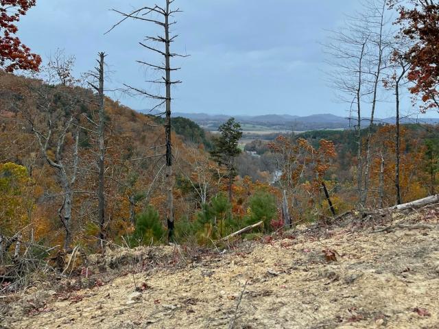 Land for sale in Tennessee