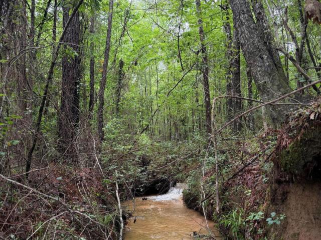 Land for sale in Meridian, Mississippi