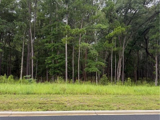 Land for sale in Pooler, Georgia