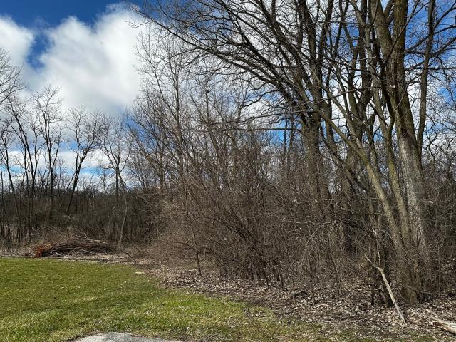 Land for sale in Orland Park