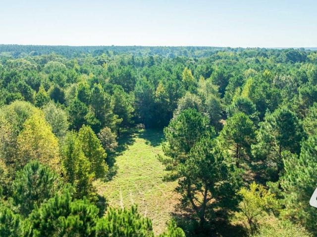 Land for sale in Shelby, Texas