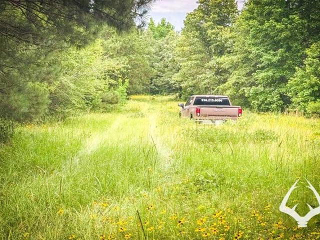 Land for sale in Shelby, Texas