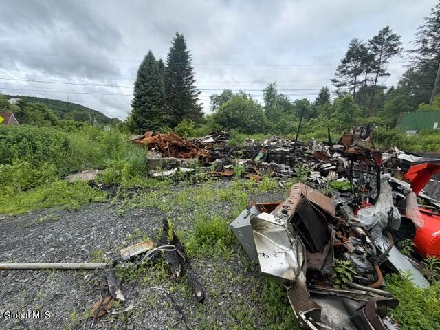 Land for sale in Berne, New York