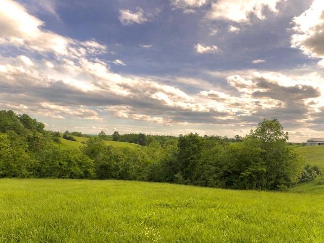 House for sale in Mount Olivet, Kentucky