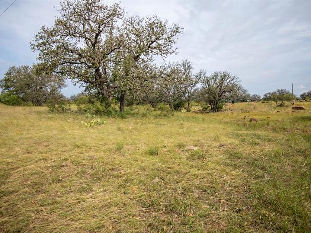 Farm for sale in Llano, Texas