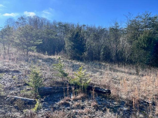 Land for sale in Tennessee