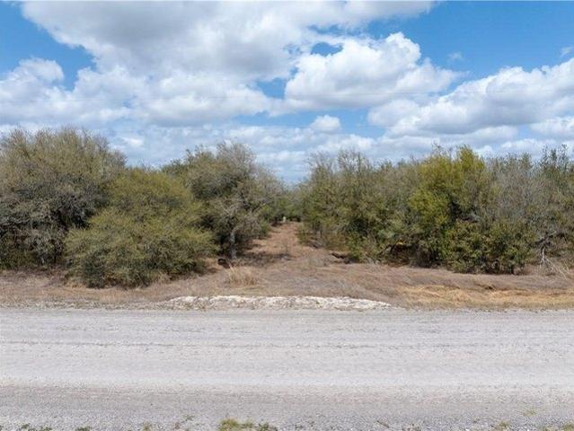 Land for sale in San Patricio, Texas