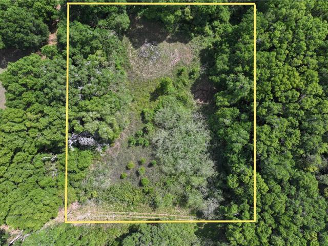 Property for sale in Reddick, Florida