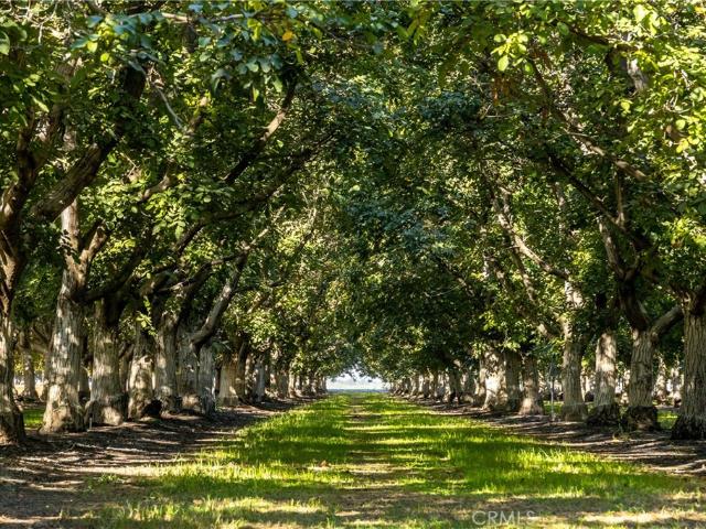 House for sale in Colusa, California