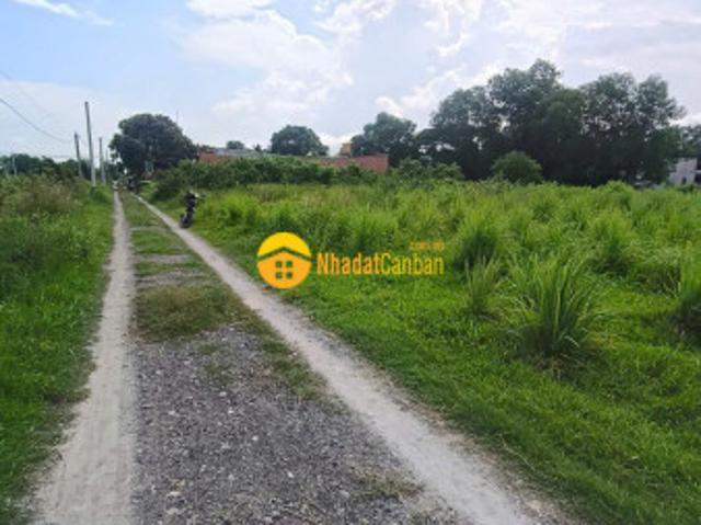 Mặt bằng bán