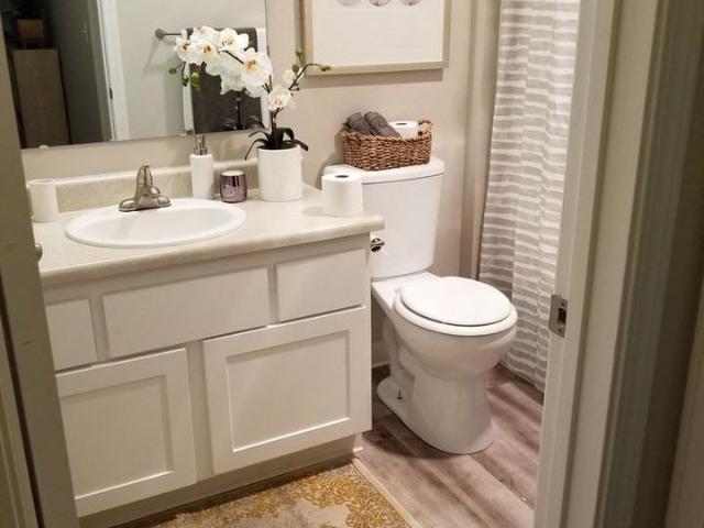 Apartment for rent in Tukwila