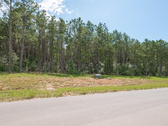 Land for sale in Willis, Texas