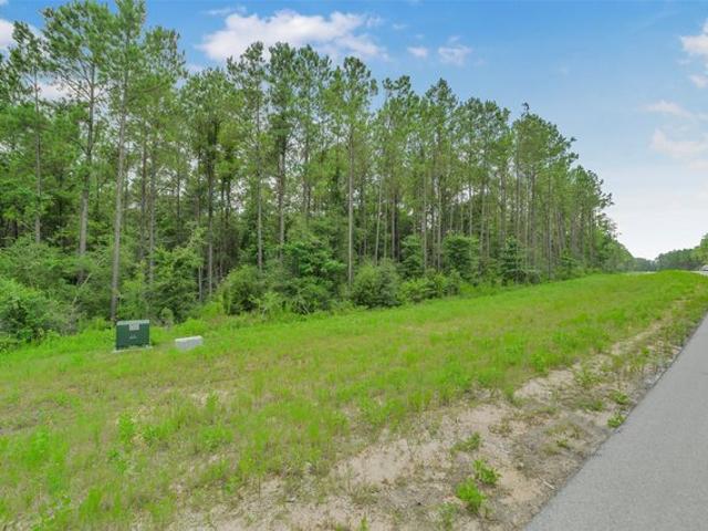 Land for sale in Willis, Texas