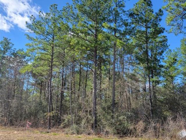 Land for sale in Willis, Montgomery County