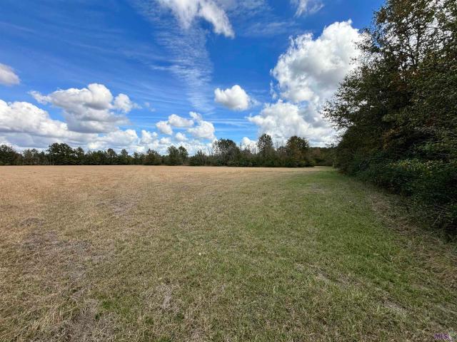 Land for sale in Greenwell Springs, Louisiana