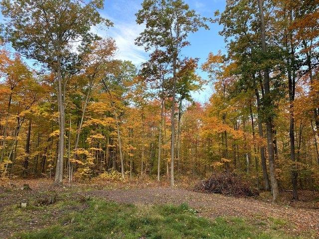 Land for sale in Springbrook, Wisconsin