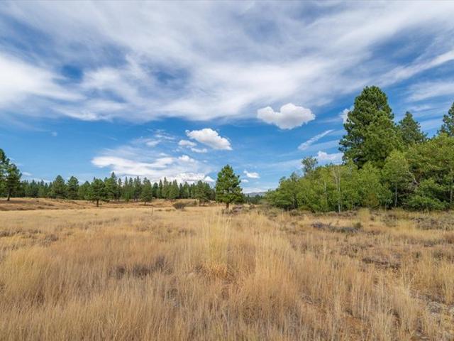 Land for sale in Truckee, California