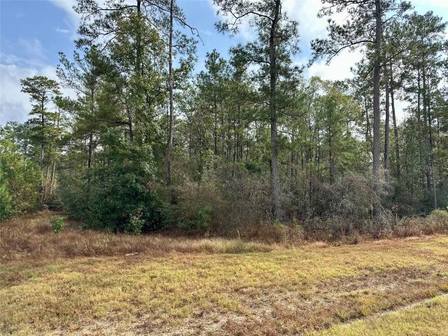 Land for sale in Willis, Texas