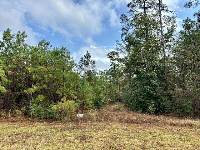 Land for sale in Willis, Texas