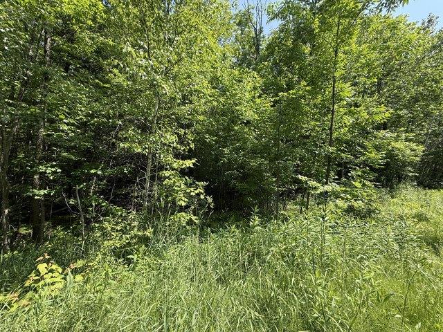 Land for sale in Lincoln, Maine
