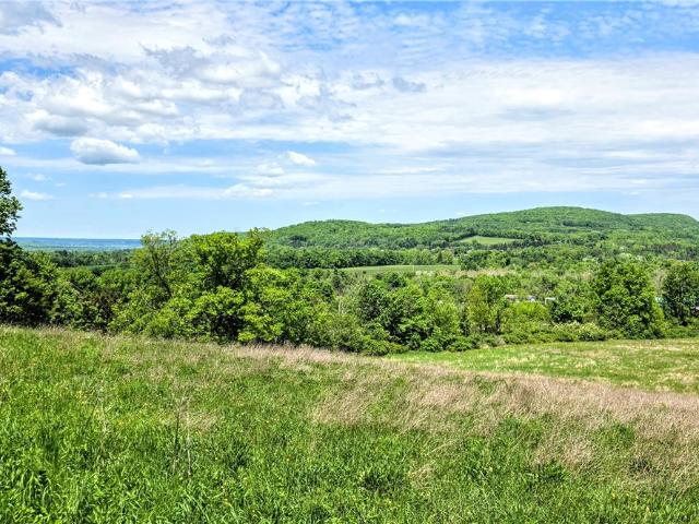 Land for sale in Brooktondale, New York