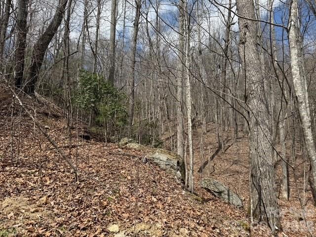 Land for sale in Hendersonville, North Carolina