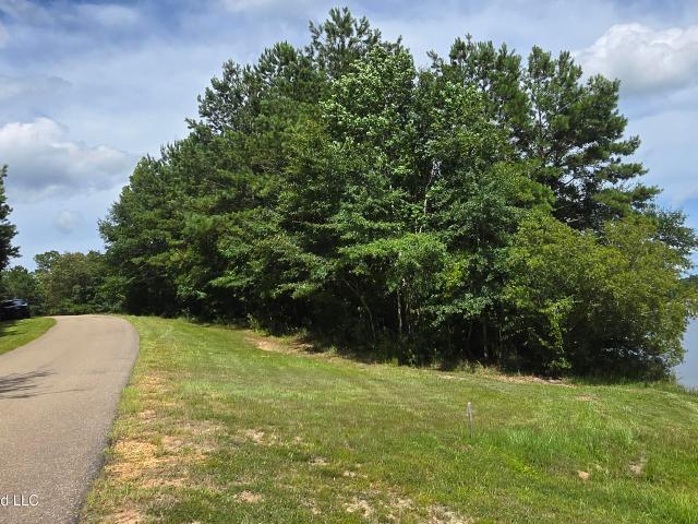 Land for sale in Lumberton, Mississippi