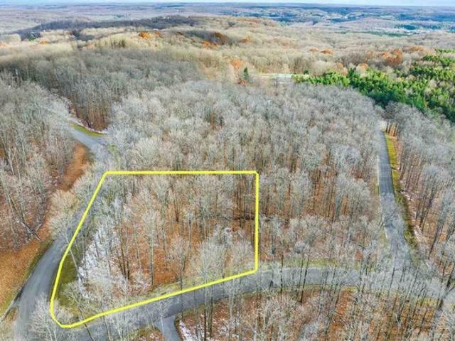 Land for sale in Bellaire, Michigan
