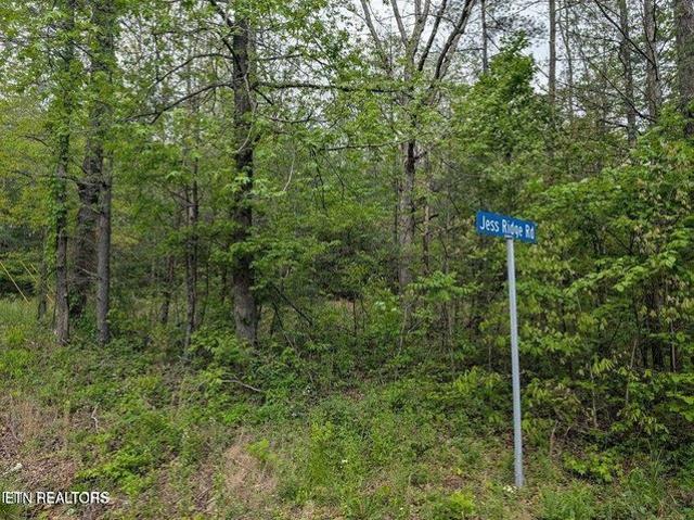 Land for sale in Tennessee