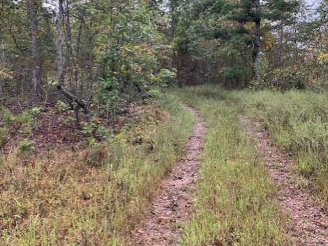 Land for sale in Fredericktown, Missouri